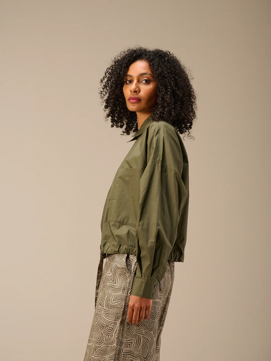 S26289 olive 3