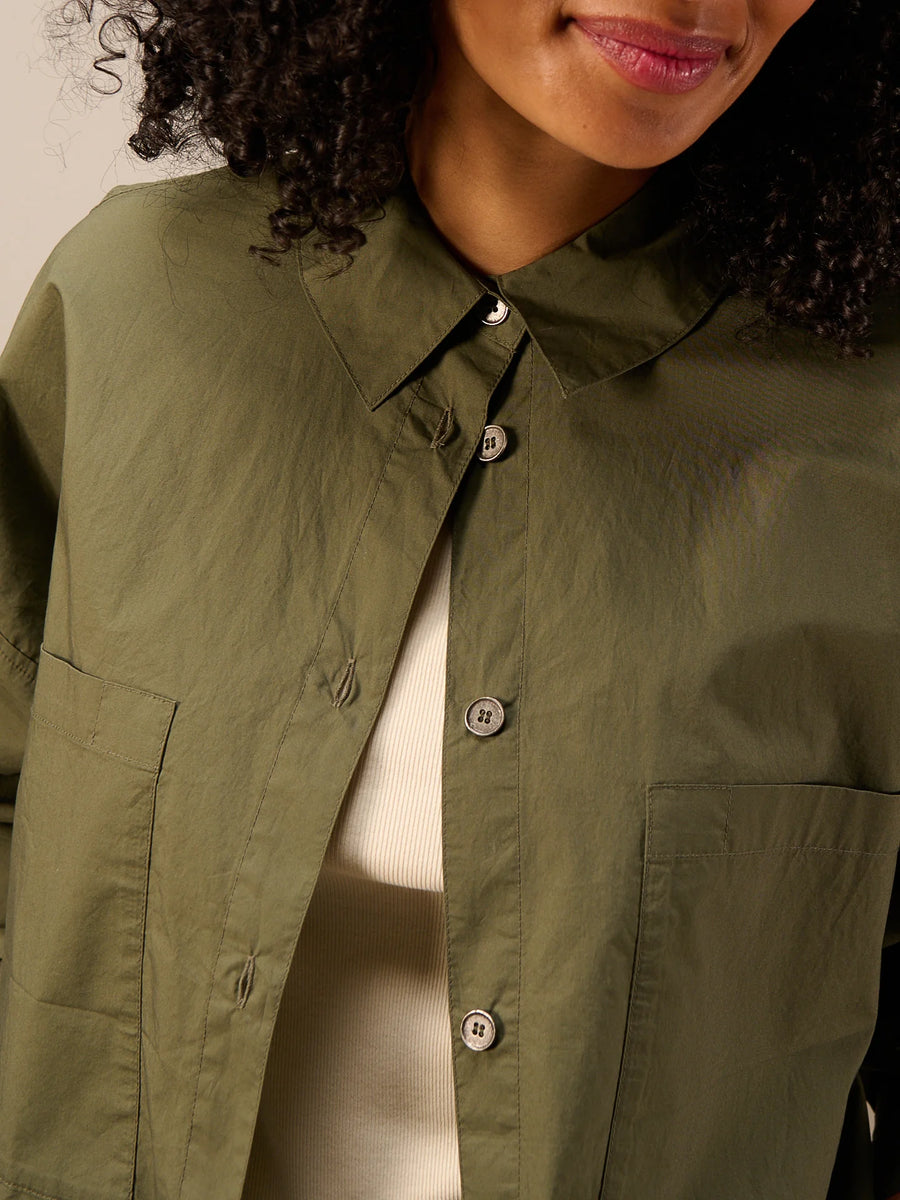 S26289 olive 3