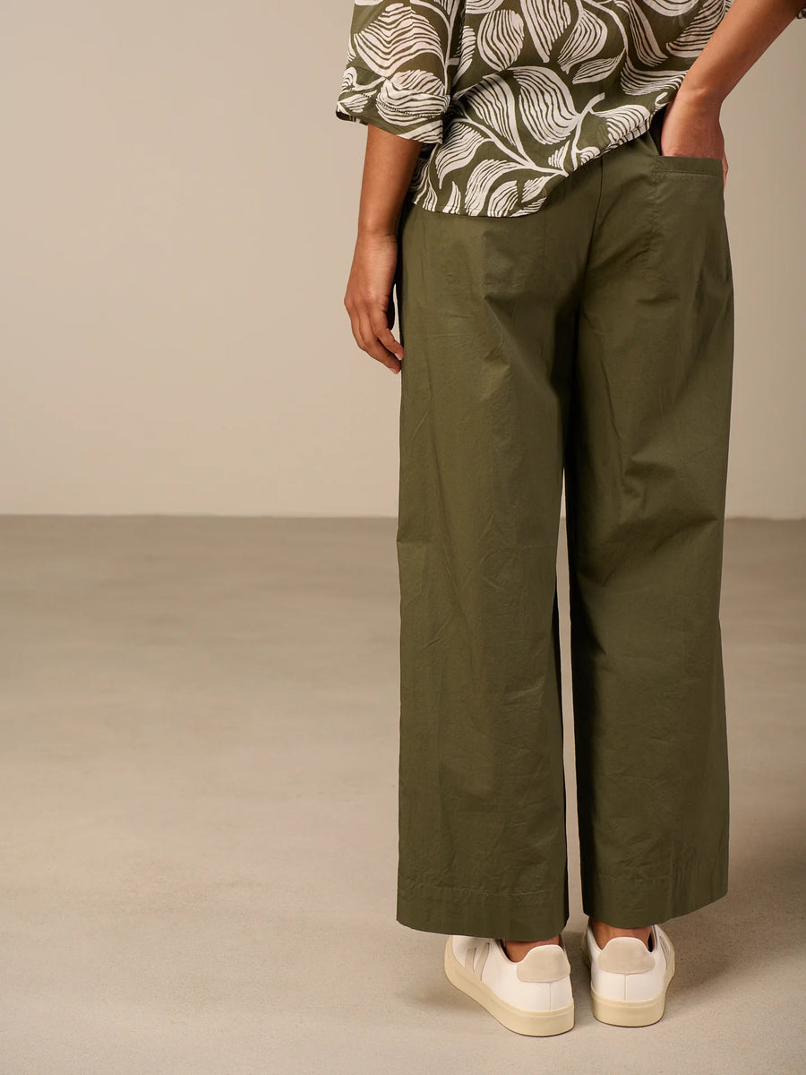 S26290 olive 3