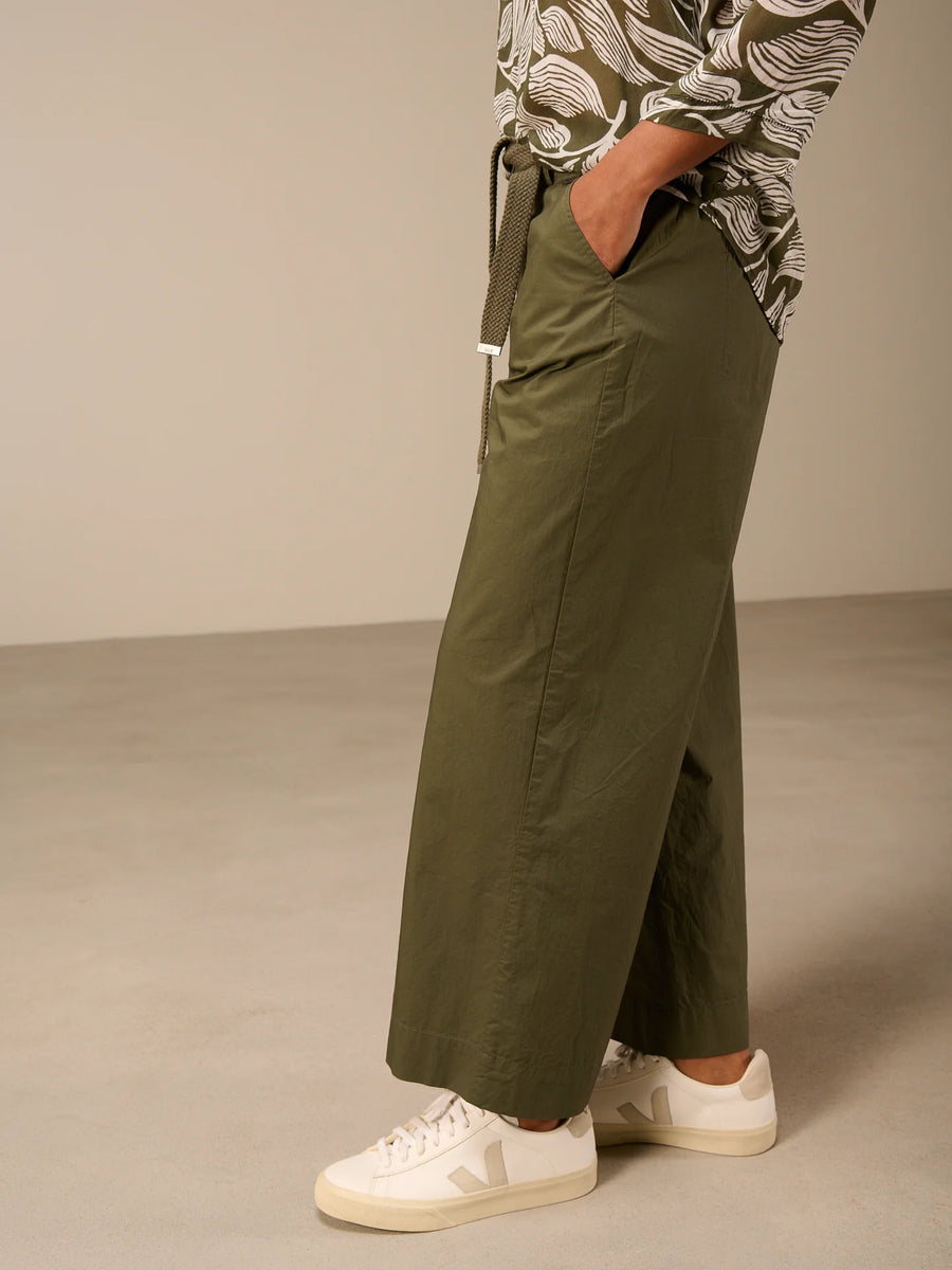 S26290 olive 3