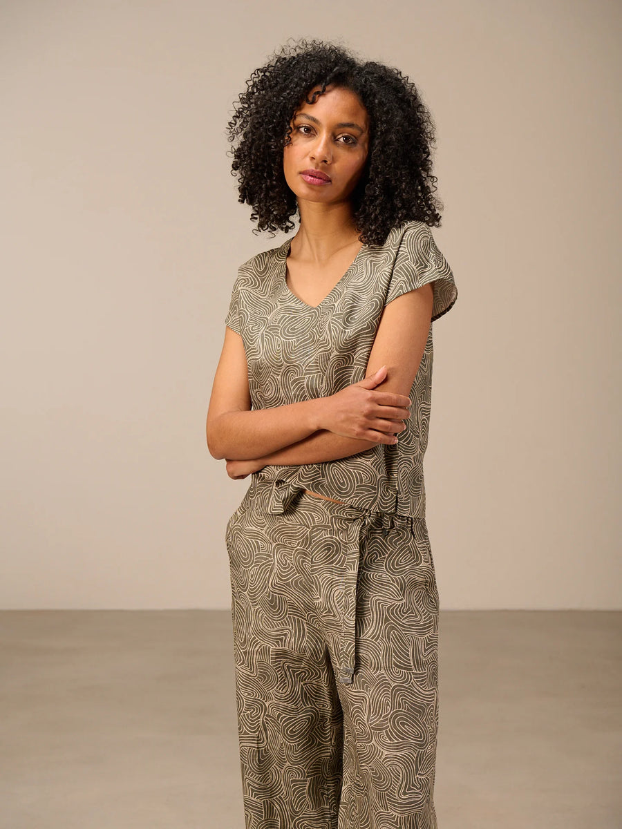 S26309 olive 2