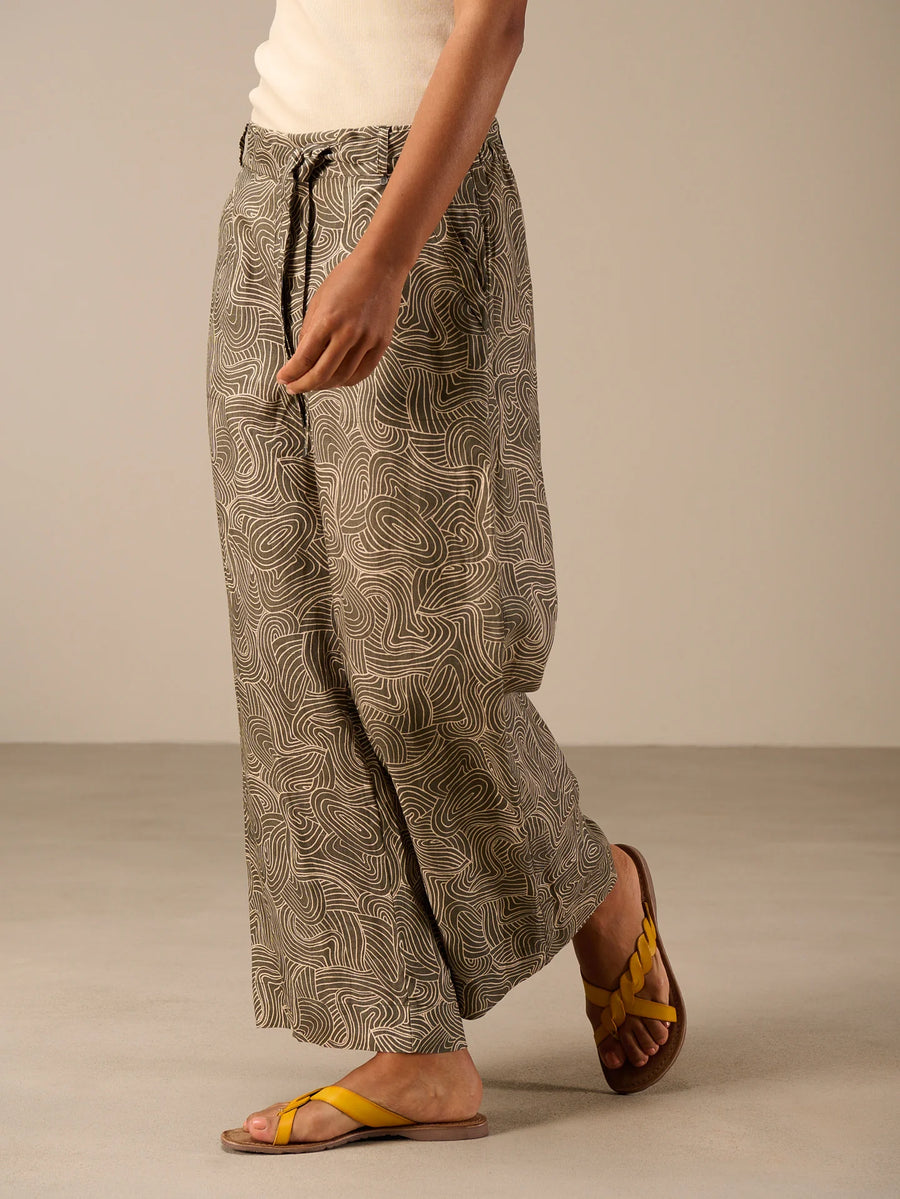 S26310 olive 2