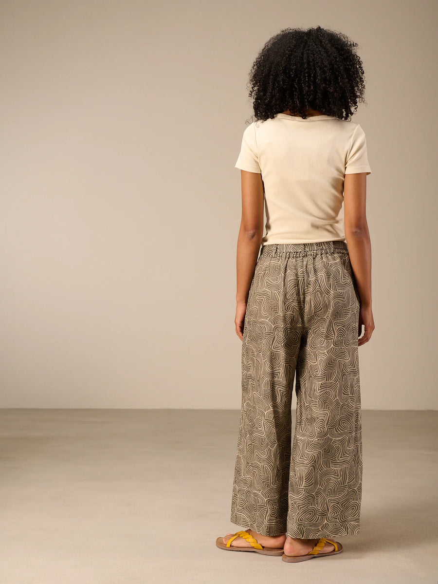 S26310 olive 2