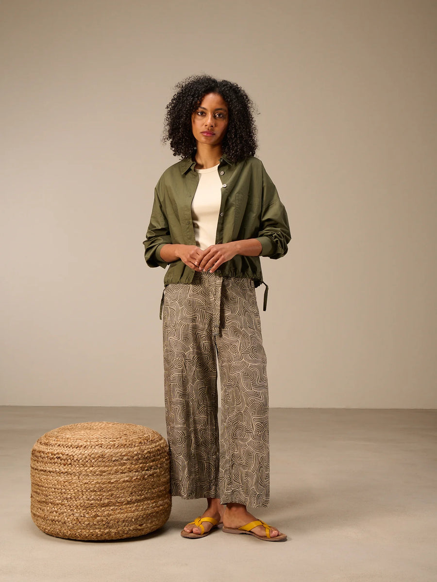 S26289 olive 3