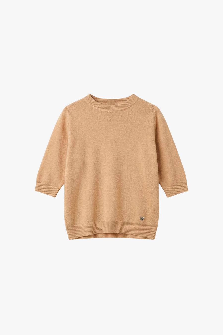 M49778995 camel