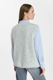 Fkestrel00000sm aah grey