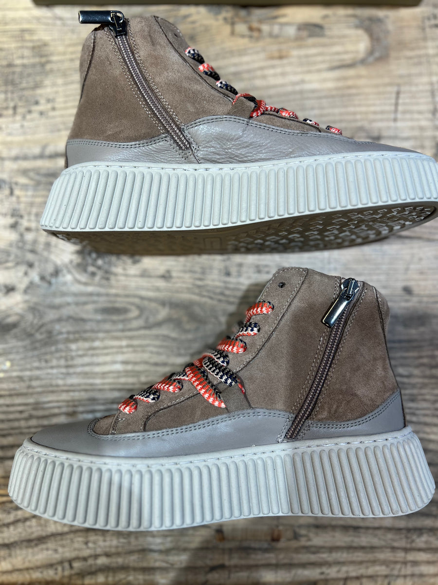 Chaussures 8203 z-ra