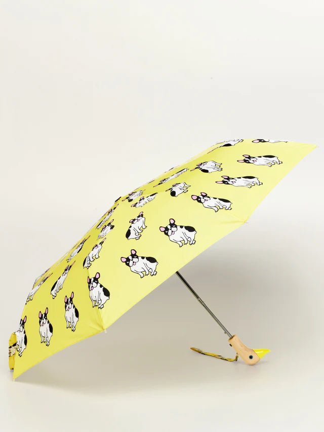 chien parapluie 